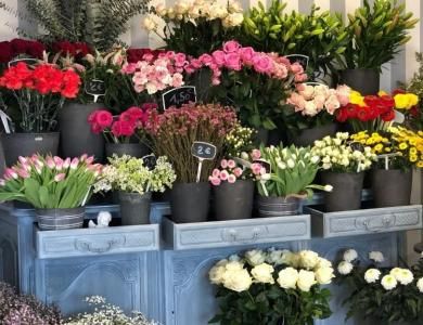 Hotel des Grands Voyageurs - Our Neighborhood